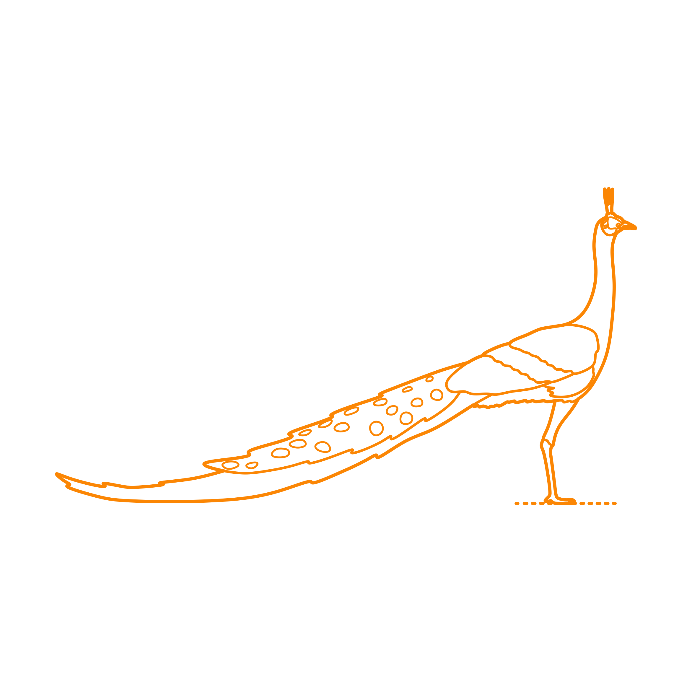 Animals Gamefowl Green Peafowl Sticker Svg Vector Free Vectors